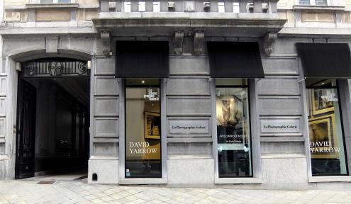 la-photography-galerie-15943109_1827030600918352_838280060_o